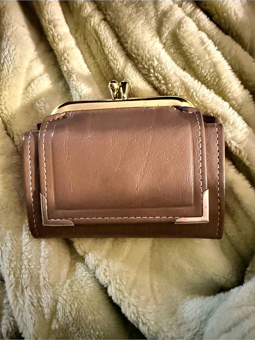 Princess Gardner Brown Kiss-Lock Wallet